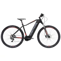 SIRMIUM PRO DEORE 10